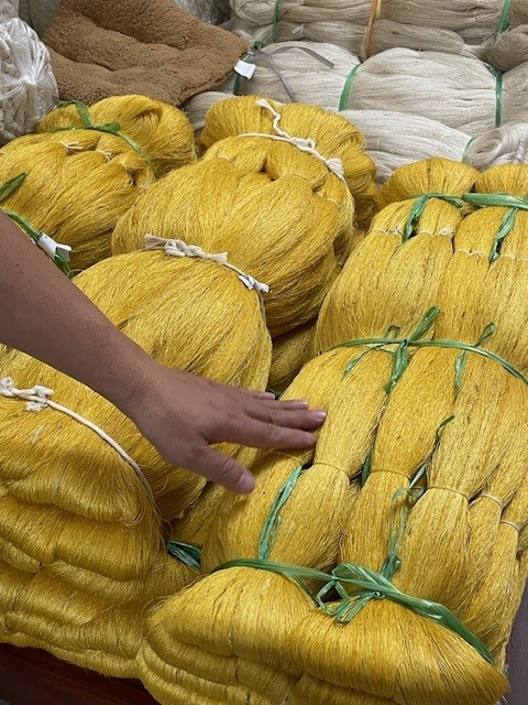 Cổ Chất14